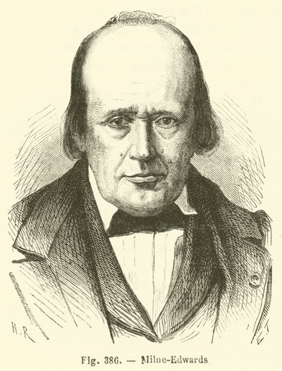 Milne-Edwards by French School